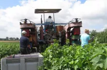 2500 zł do hektara: rolnicy mają mało czasu na złożenie wniosku. Na pieniądze poczekają miesiącami