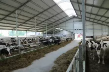 Obora Ewy i Arkadiusza Koców ma 36 m długości, 31,8 m szerokości i mierzy 10 m w kalenicy.