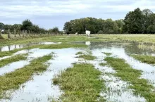 Huragan Ciaran, zniszczenia Francja