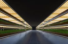 wertykalna uprawa zbóż