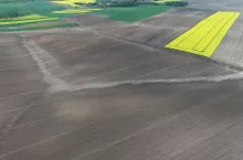 Zdjęcie oceny szkody plantacji z drona