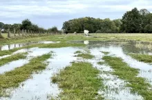 Huragan Ciaran, zniszczenia Francja