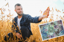 Czy uprawa soi się opłaca?