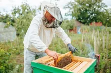 &lt;p&gt;Już niebawem rusza 7 naborów wniosków o dofinansowania dla hodowców pszczół.&lt;/p&gt;