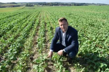 Rzepak posiano na bardzo różnych glebach, 60 ha na glebach ciężkich klasy III a i b oraz IV b, kolejne 30 ha, to gleby lekkie, piaszczyste klasy IV b i V i mimo tego samego terminu siewu widać różnicę w rozwoju roślin. Karol Biały, dyrektor Zakładu Doświadczalnego Bartążek
