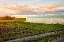 biologiczne rozwiązania w uprawach