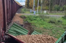 Pociąg zderzył się z ciągnikiem przewożącym ziemniaki. W wyniku wypadku ucierpiała jedna osoba.
