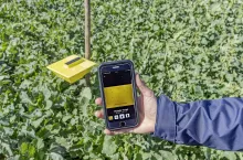 Wyniki analizy liczby szkodników z cyfrowej żółtej pułapki MagicTrap firmy Bayer można wywołać w dowolnym momencie i z dowolnego miejsca za pośrednictwem aplikacji. Fot. Tovornik