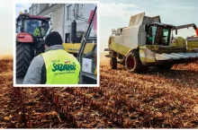 Ceny kukurydzy są 3 razy niższe niż rok temu. Rolnicy czekają na nowy rząd, by zacząć walkę o dopłaty 