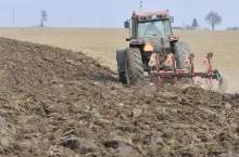 Norma GAEC 6 stawia pod znakiem zapytania konieczność wykonywania orki po zbiorach, jeśli jeszcze jesienią pole nie zostanie obsiane ponownie