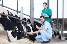 Kontrole weterynaryjne zapowiadane zbyt późno