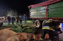 Wypadek ciągnika na drodze, kukurydza blokuje drogę