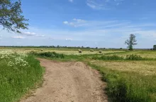 pole łąki