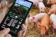 Cała Europa poza Hiszpanią posiłkuje się notowaniami giełdy niemieckiej VEZG. Dlaczego?