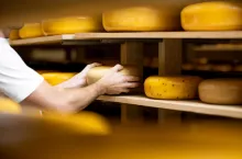 Największym producentem serów w UE są Niemcy, Polska znajduje się na 5 miejscu. Zobacz statystyki!