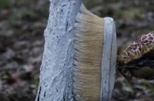 Jeśli nie użyliśmy żadnego lepiszcza do wapna, należy sprawdzać i poprawiać pokrycie całą zimę