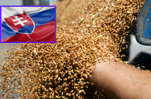 Słowacja wprowadza zakaz importu 14 produktów z Ukrainy. Co na liście?