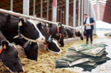 Ceny mleka po III kwartałach 2023 r.