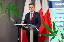 Konopie włókniste, rolnictwo