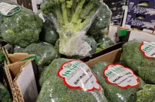 Brokuł importowany z Hiszpanii