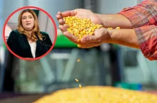 Dopłaty do kukurydzy: jakie stawki dla poszczególnych województw?