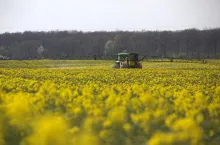 opryskiwanie rzepaku kwitnienie twardzikowa