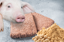 zakaz stosowania mięsnych nazw