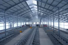 Już niebawem w tej nowoczesnej i imponującej swym wyposażeniem oborze dojonych będzie 300 krów dających mleko A2A2