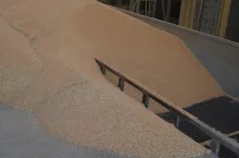 513037