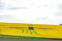 Premiery od BASF Polska