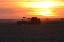 907415