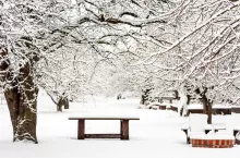Kalendarz biodynamiczny styczeń