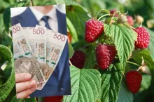 2500 zł do hektara: ruszyły wypłaty, ale część rolników długo poczeka na pieniądze