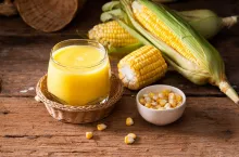 Kukurydza, rolnictwo, wiadomości rolnicze