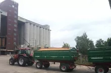Jakie są aktualne ceny zbóż i rzepaku?
