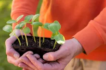 NIK alarmuje! Część nawozów zawiera metale ciężkie i pasożyty