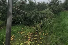 ARiMR rozpoczęła wypłatę dopłat dla rolników poszkodowanych przez klęski