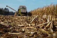 Zmiany w GAEC 6 i 7 korzystne dla rolników. Ale jeszcze nie ma zgody KE