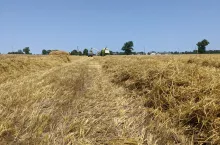 907453