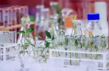 Agricultural laboratory research and food science