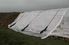 Pryzma buraków cukrowych osłonięta agrowłókniną