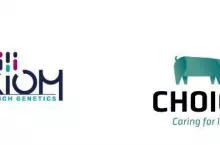 Choice Genetics w Grupie Axiom