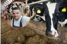 Rolnicy apelują o dopłaty do mleka. Ceny w skupie wciąż niskie, a koszty pasz rosną