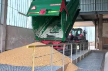 Prognozy rynkowe na 2024: Czy cena pszenicy spadnie nawet poniżej 800 zł?