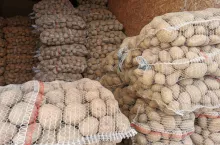 Krajowe ziemniaki Bronisze