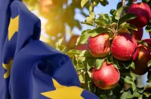 Jabłka deserowe z Polski