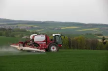 Jakie są zalecenia ochrony dla zbóż ozimych i rzepaku na wiosnę 2024?