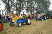 907541