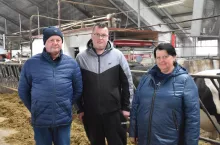 Od 2001 roku w gospodarstwie rodziny Czaplickich trwają nieustanne inwestycje związane z rozwojem produkcji mleka. Udało się wprowadzić automatyzację doju, a obecnie rolnicy ukończyli budowę nowego cielętnika.