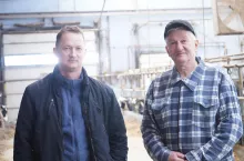 Rolnicy powodzeniem prowadzą produkcję mleka w dużym i nowoczesnym obiekcie uwięziowym, w którym zadbali, aby do minimum zredukować nakład pracy ręcznej.